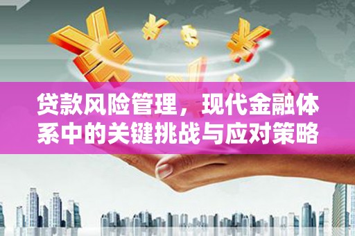 台山贷款风险管理，现代金融体系中的关键挑战与应对策略