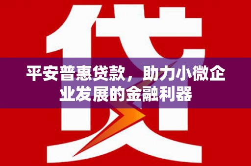 梅列平安普惠贷款，助力小微企业发展的金融利器