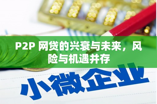 花莲P2P 网贷的兴衰与未来，风险与机遇并存
