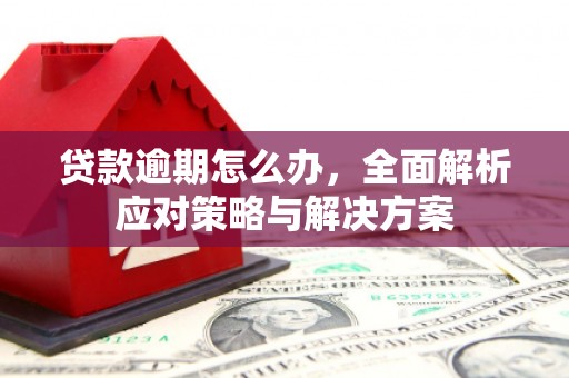 水林贷款逾期怎么办，全面解析应对策略与解决方案
