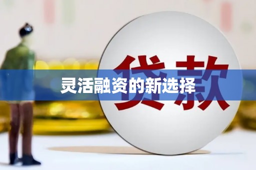 乐亭灵活融资的新选择