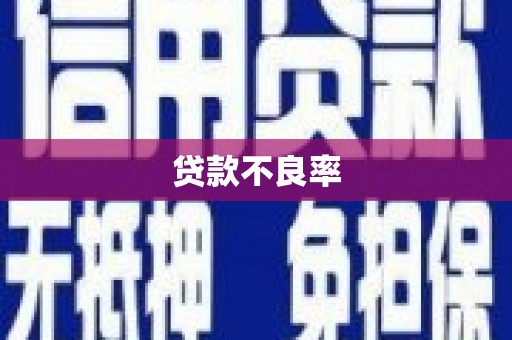 湘西贷款不良率
