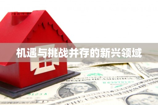 万里机遇与挑战并存的新兴领域