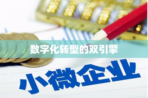 岱山数字化转型的双引擎