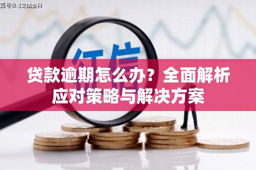 宣汉贷款逾期怎么办？全面解析应对策略与解决方案