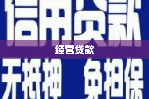 民雄经营贷款
