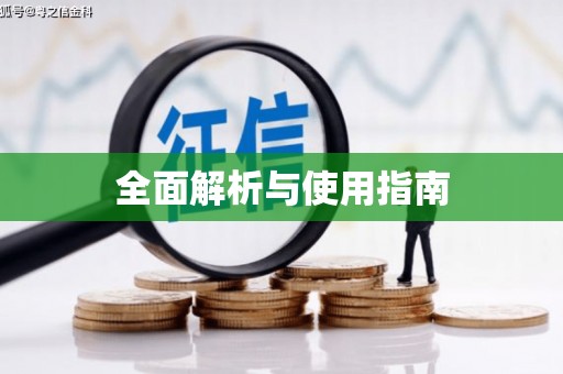 泸水全面解析与使用指南