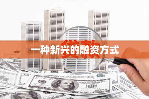 普格一种新兴的融资方式