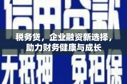 内湖税务贷，企业融资新选择，助力财务健康与成长