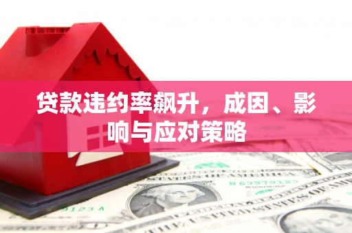 澜沧贷款违约率飙升，成因、影响与应对策略